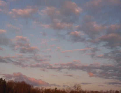 Lavendercat Mail Club