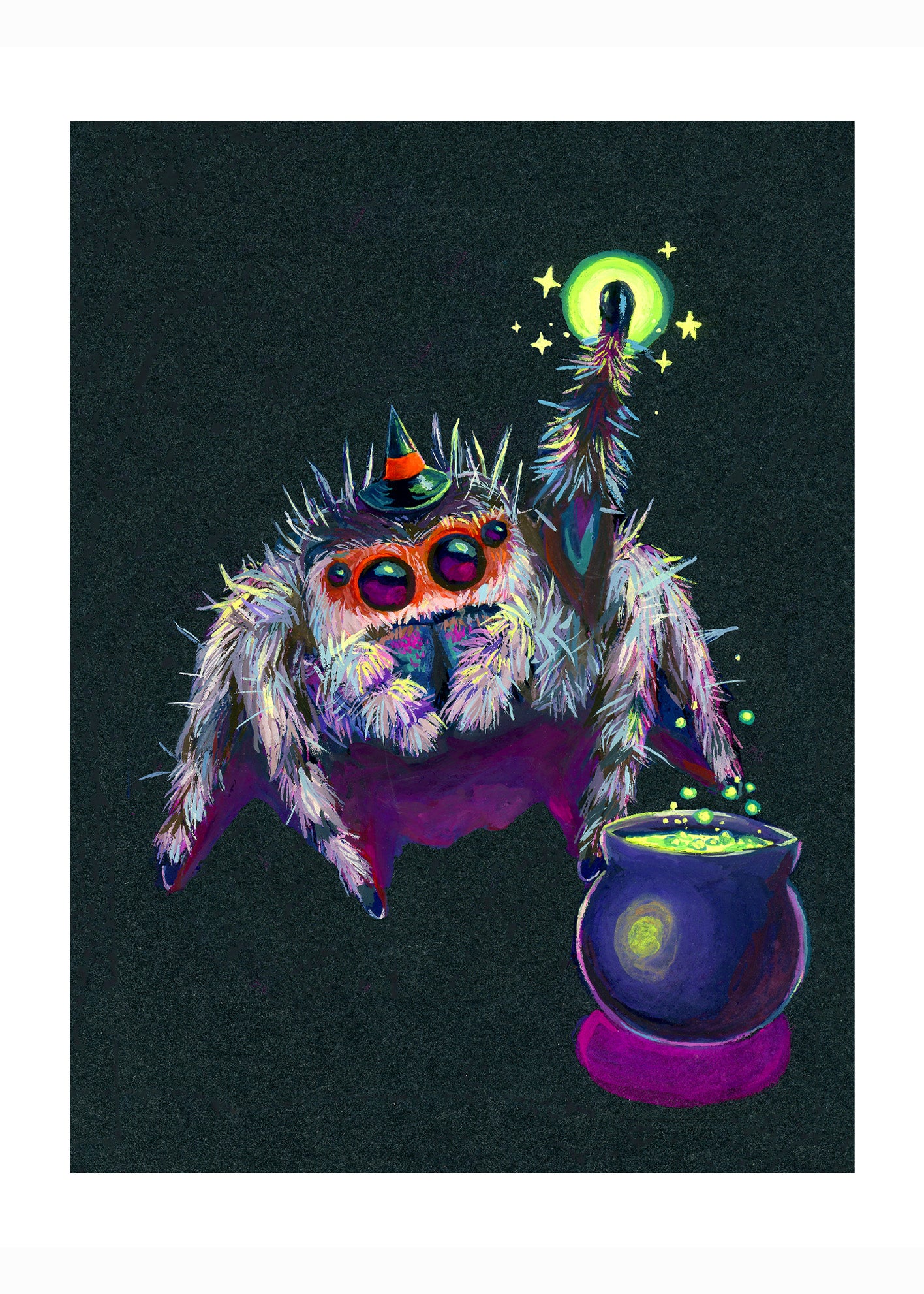 Jumping Spider Witch